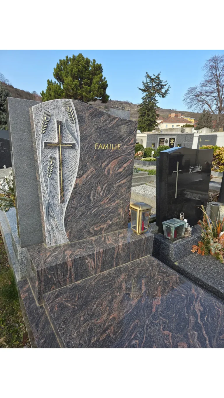 Startseite Zuzzi 22 svg%3E